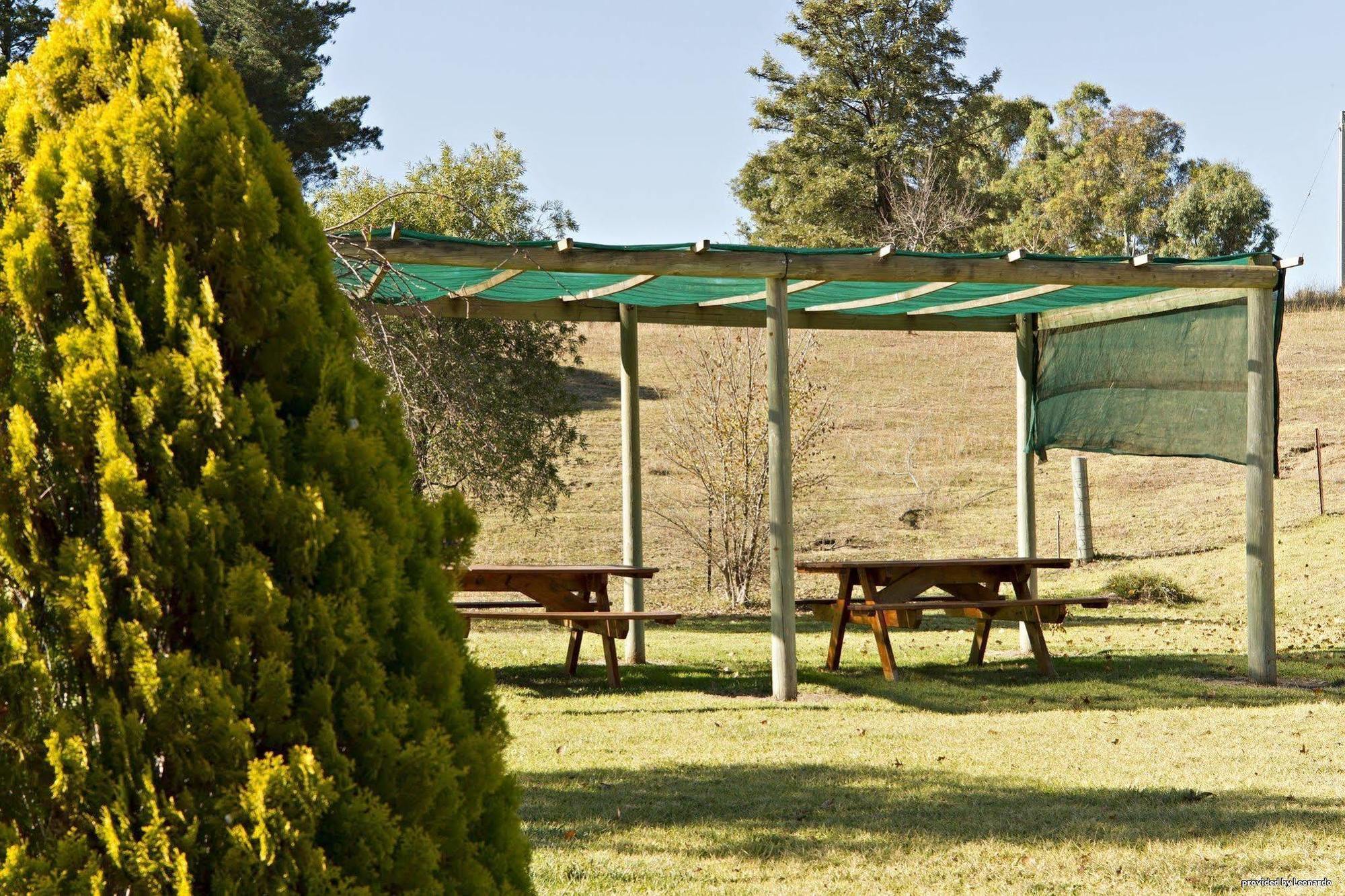 Hilltops Retreat Motor Inn Янґ Ресторан фото